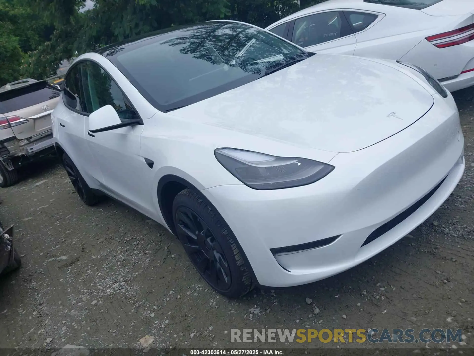 1 Photograph of a damaged car 7SAYGDEE7RA231373 TESLA MODEL Y 2024
