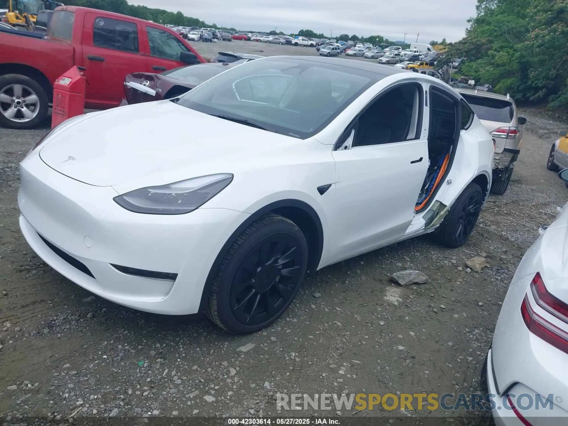 2 Photograph of a damaged car 7SAYGDEE7RA231373 TESLA MODEL Y 2024