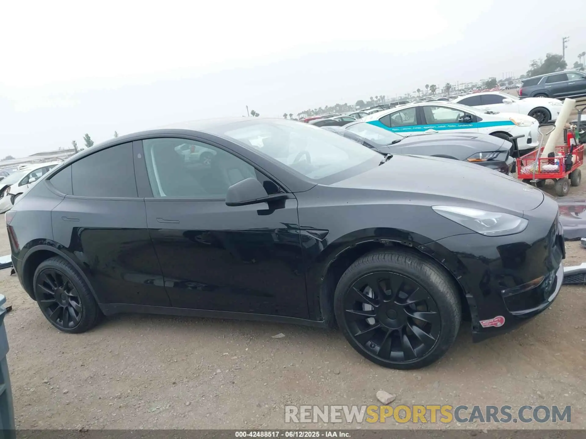 12 Photograph of a damaged car 7SAYGDEE7RA236864 TESLA MODEL Y 2024