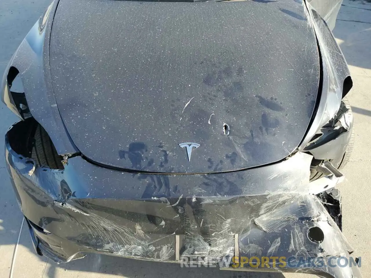 13 Photograph of a damaged car 7SAYGDEE7RA276099 TESLA MODEL Y 2024