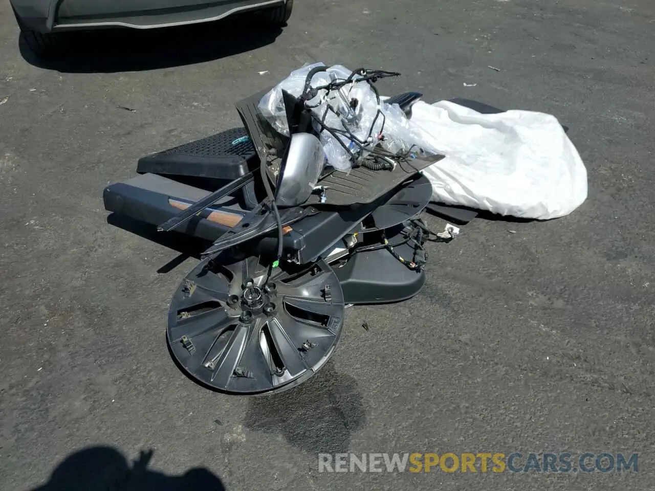 12 Photograph of a damaged car 7SAYGDEE7RA300580 TESLA MODEL Y 2024