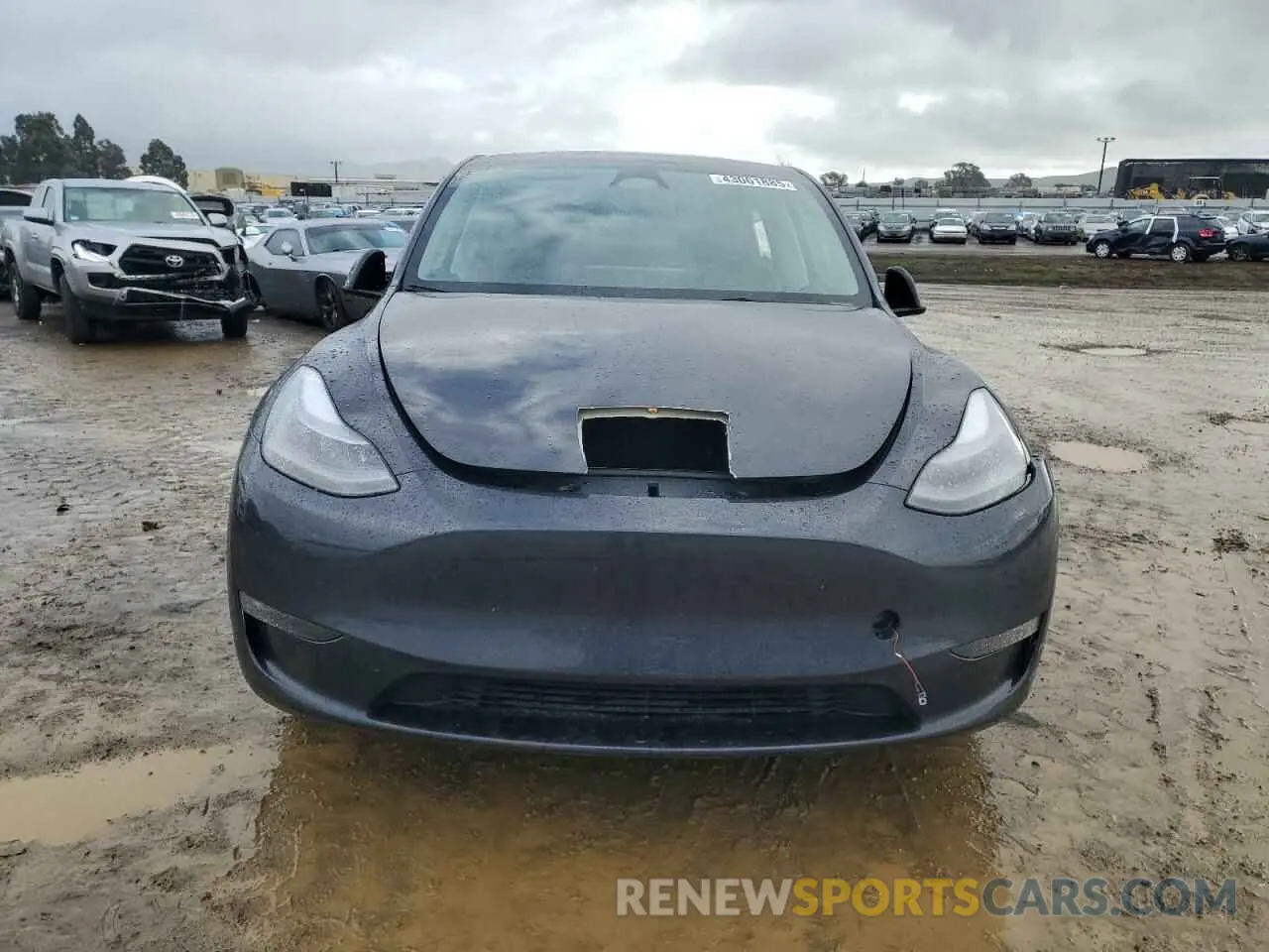 5 Photograph of a damaged car 7SAYGDEE7RF179424 TESLA MODEL Y 2024