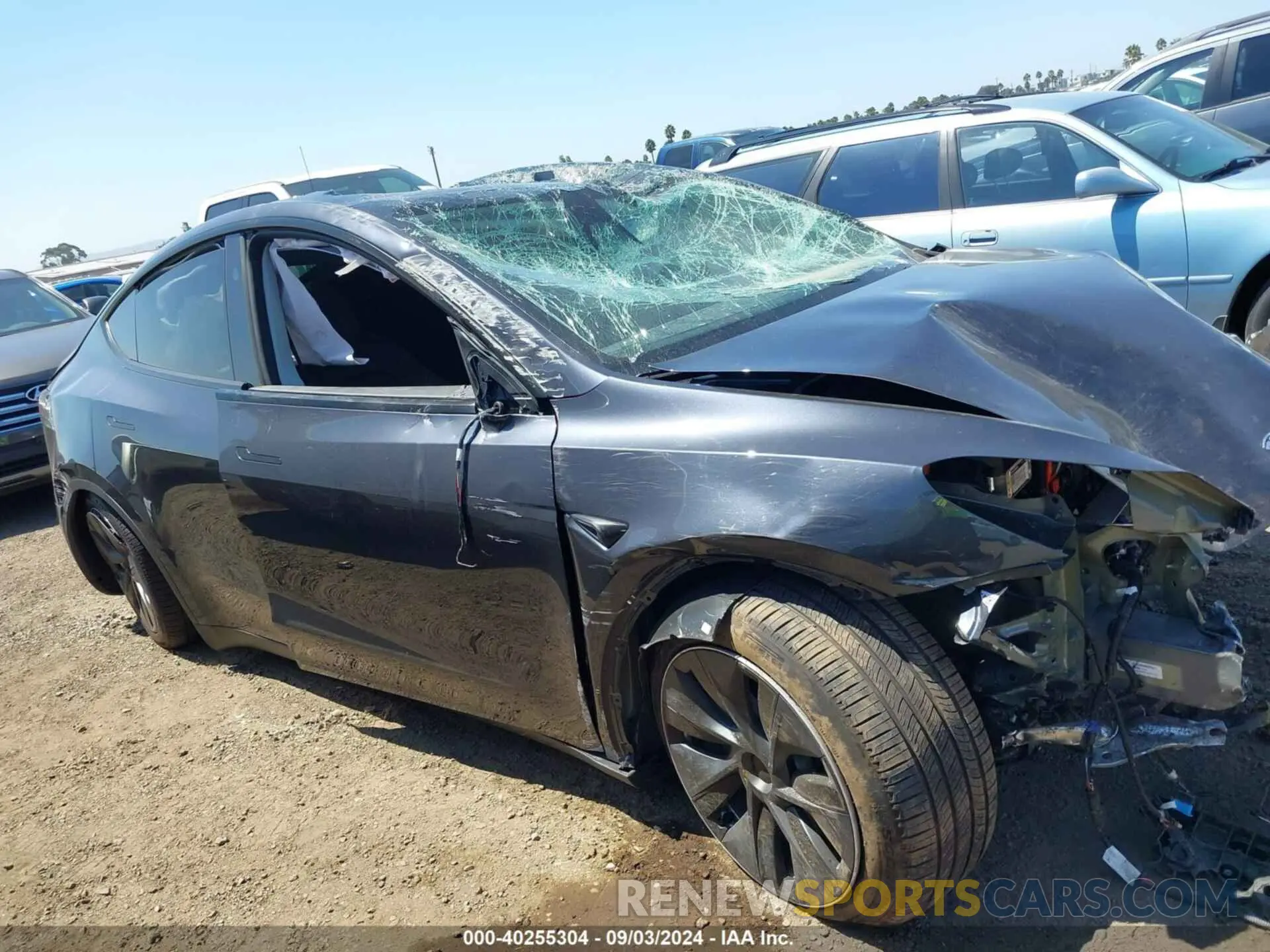 12 Photograph of a damaged car 7SAYGDEE8RA246903 TESLA MODEL Y 2024