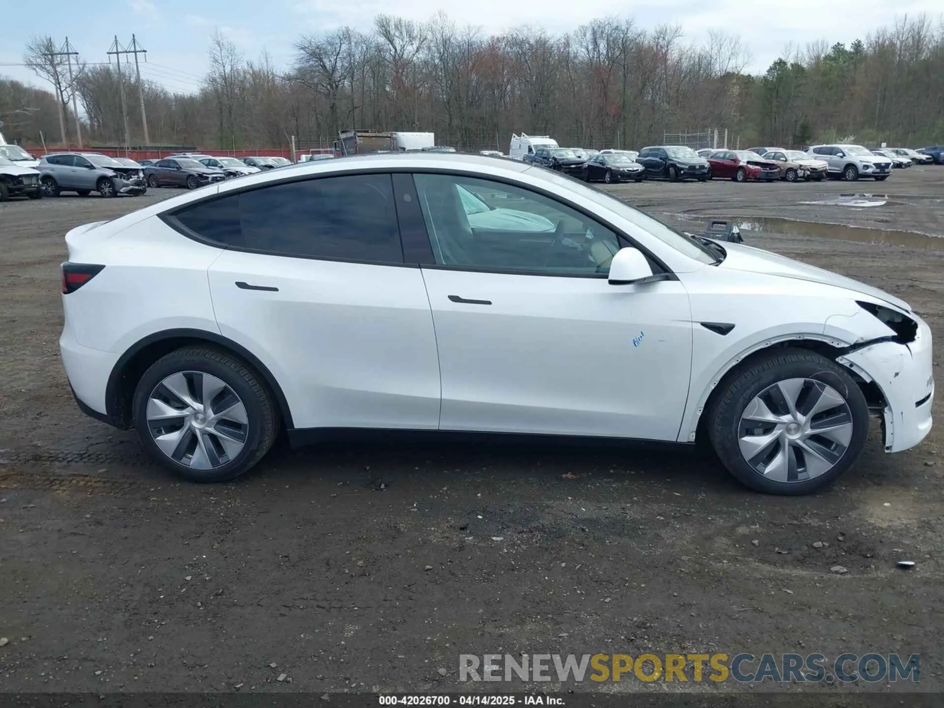 13 Photograph of a damaged car 7SAYGDEE8RA255598 TESLA MODEL Y 2024
