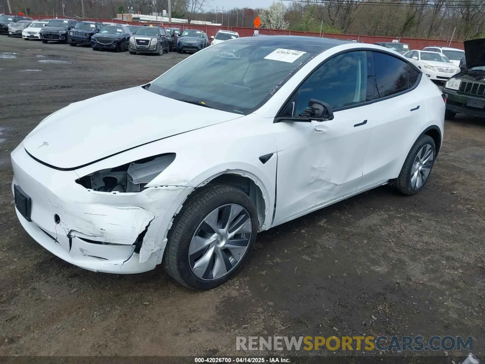 2 Photograph of a damaged car 7SAYGDEE8RA255598 TESLA MODEL Y 2024