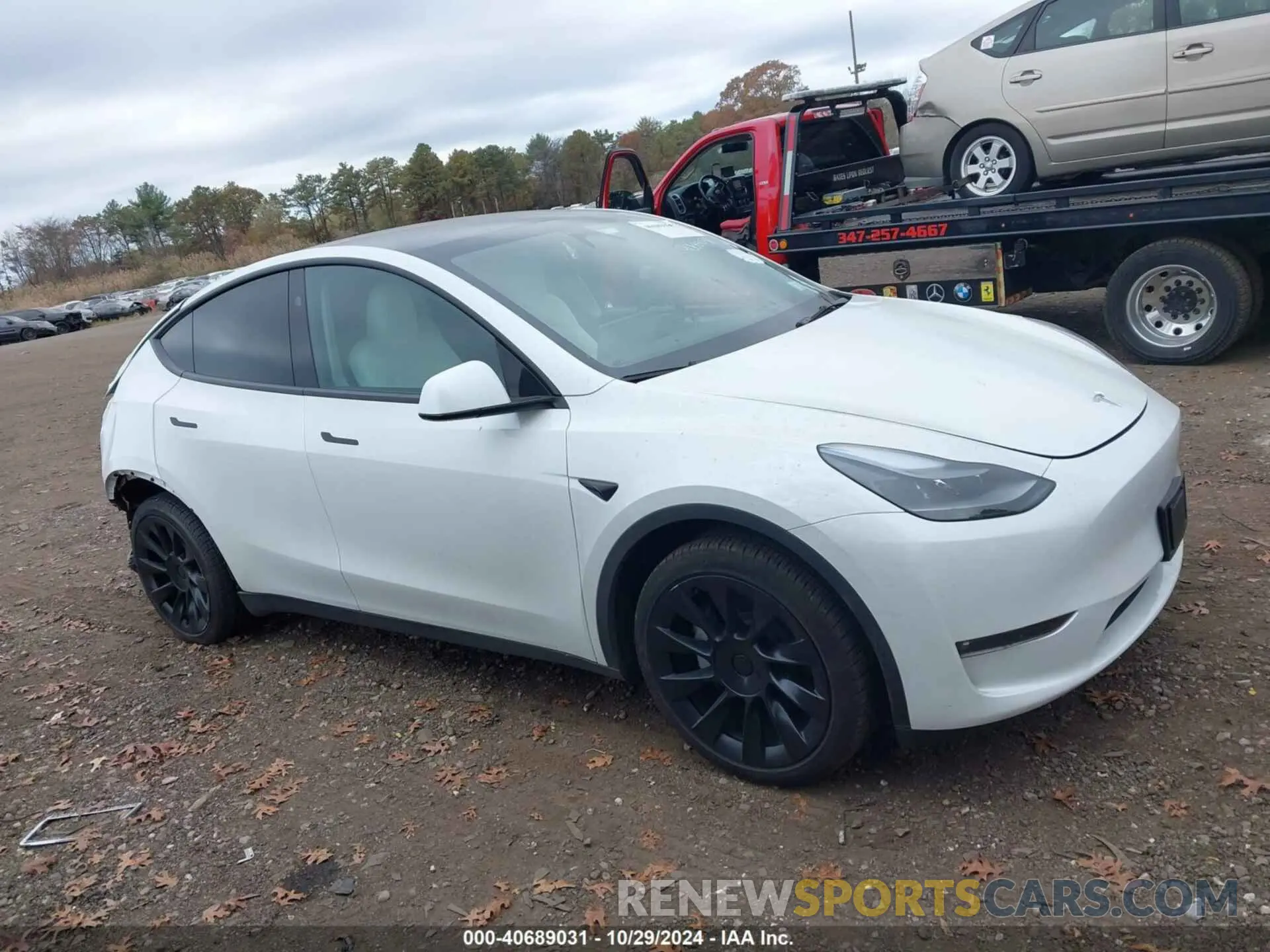13 Photograph of a damaged car 7SAYGDEE8RF036837 TESLA MODEL Y 2024