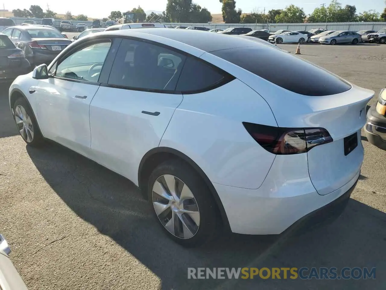 2 Photograph of a damaged car 7SAYGDEE8RF076769 TESLA MODEL Y 2024