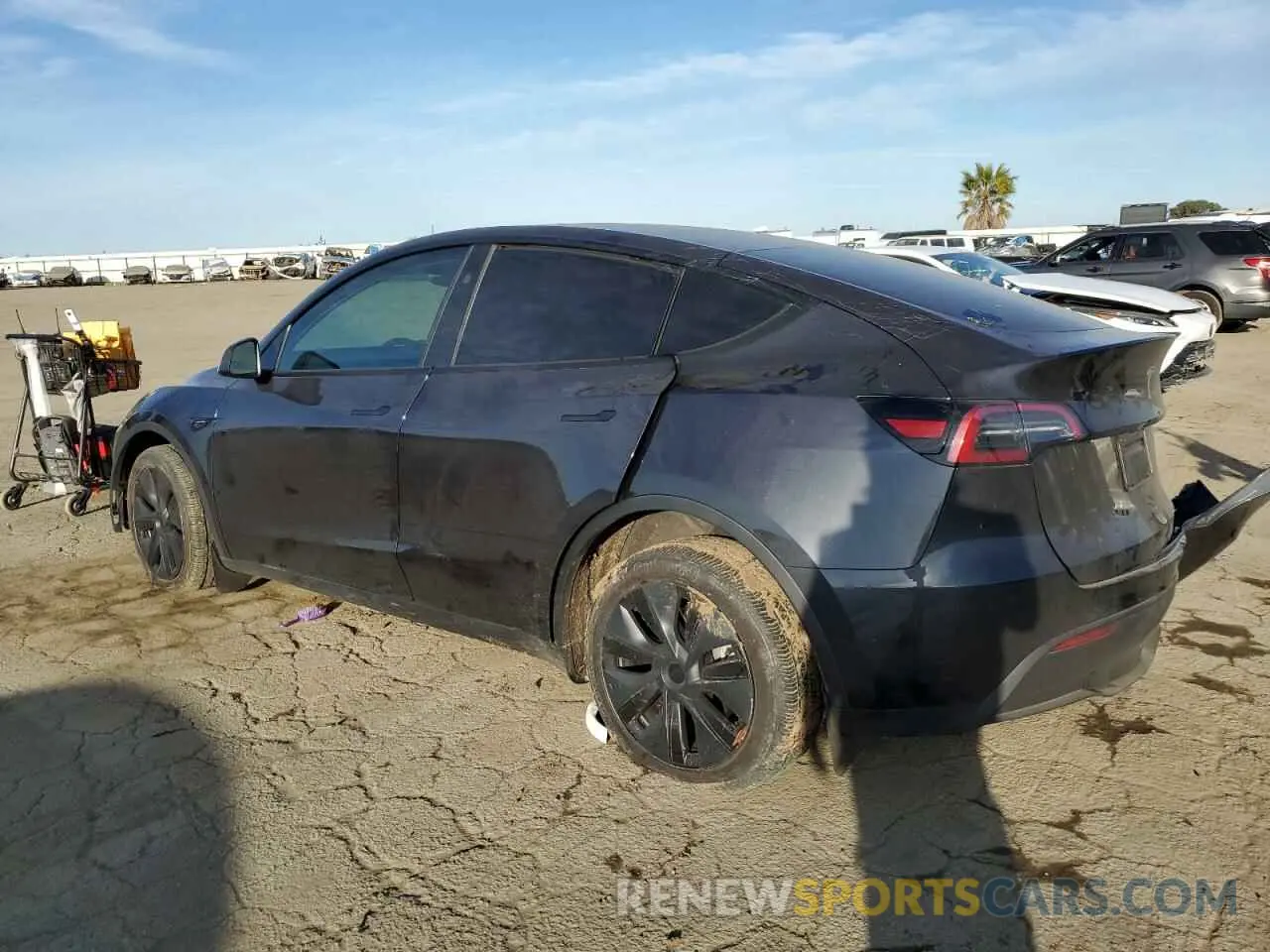 2 Photograph of a damaged car 7SAYGDEE8RF119829 TESLA MODEL Y 2024