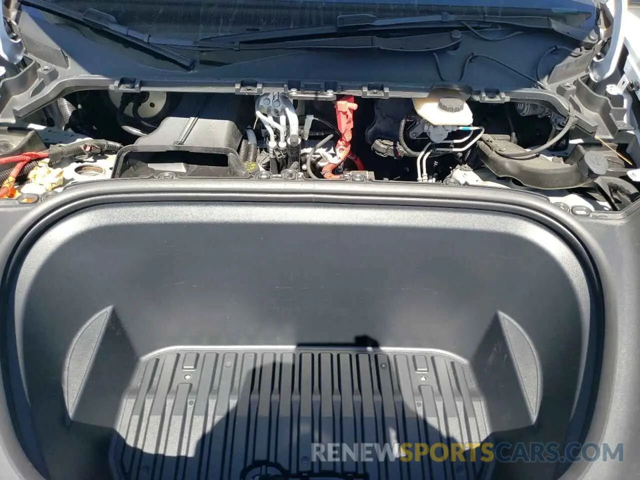 11 Photograph of a damaged car 7SAYGDEE8RF123153 TESLA MODEL Y 2024