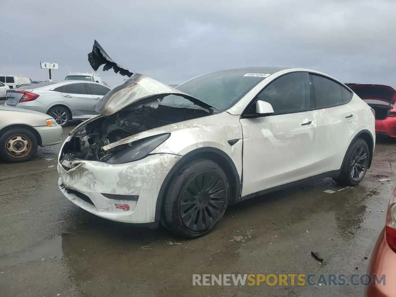 1 Photograph of a damaged car 7SAYGDEE8RF184292 TESLA MODEL Y 2024