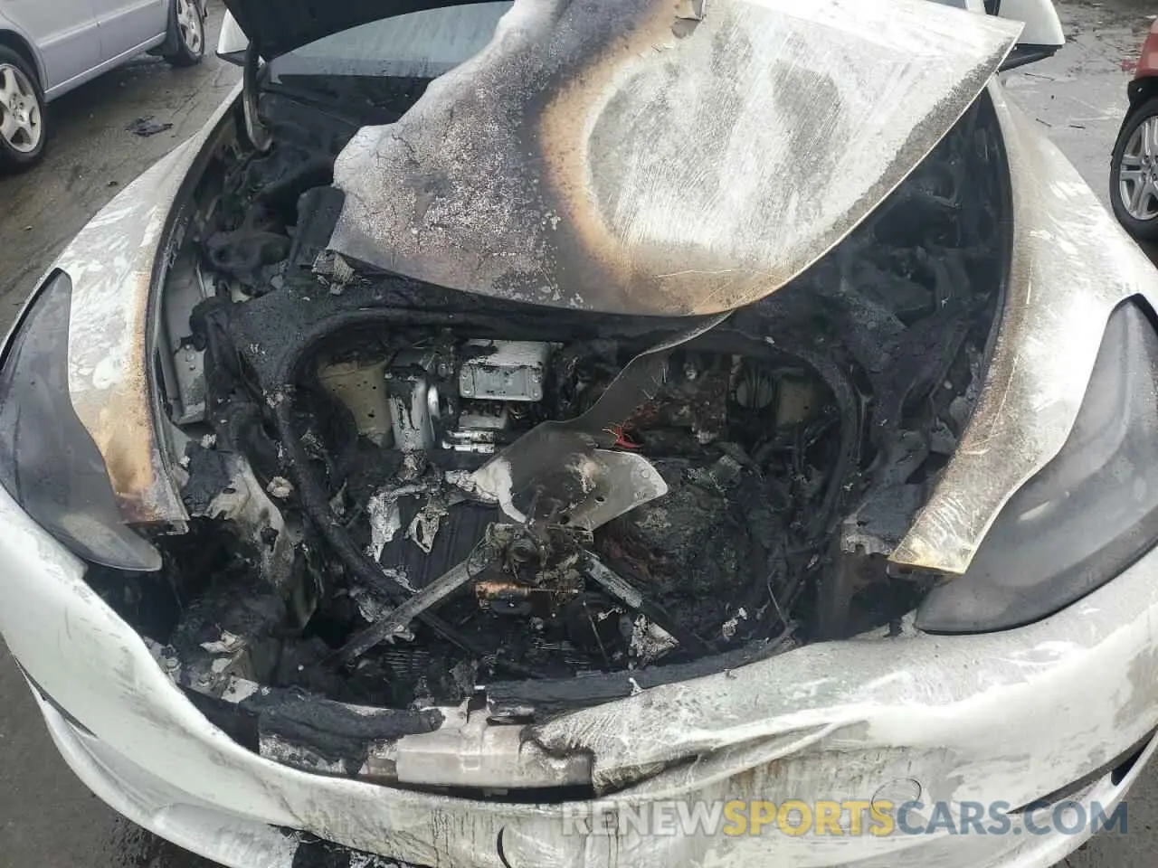 11 Photograph of a damaged car 7SAYGDEE8RF184292 TESLA MODEL Y 2024