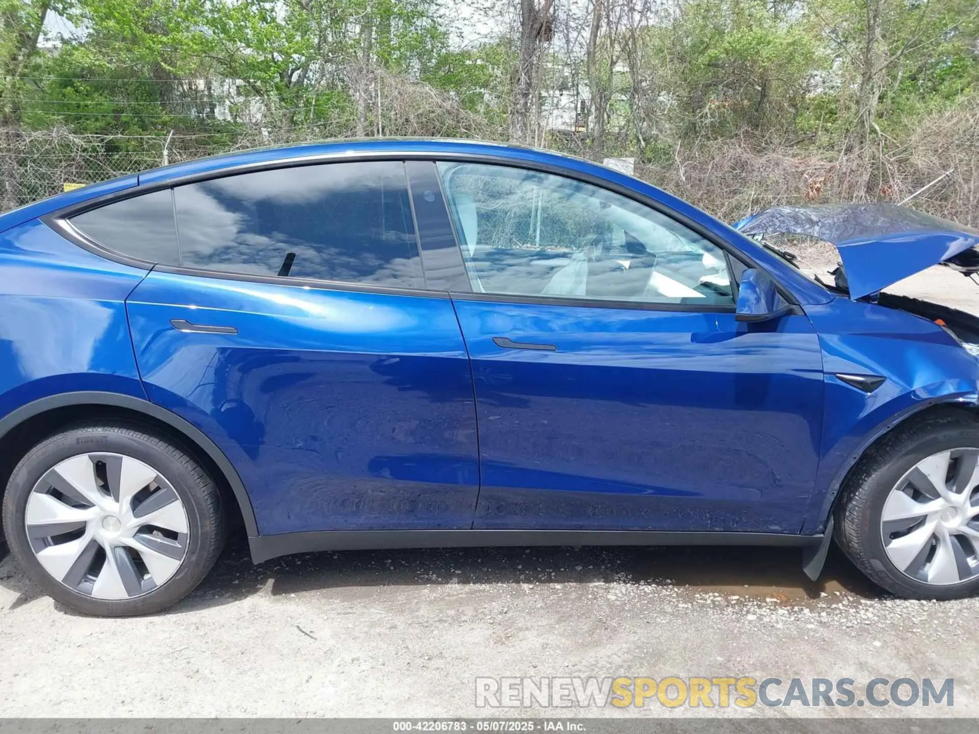 12 Photograph of a damaged car 7SAYGDEE9RA219631 TESLA MODEL Y 2024