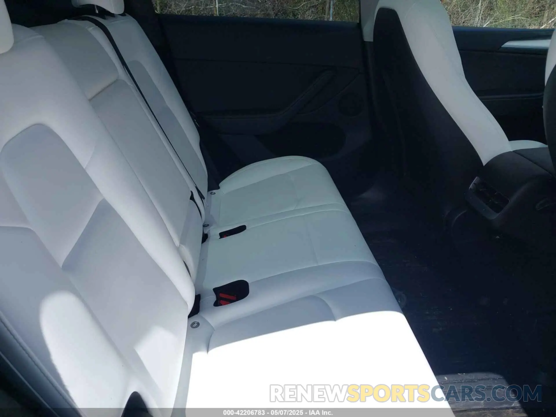 8 Photograph of a damaged car 7SAYGDEE9RA219631 TESLA MODEL Y 2024