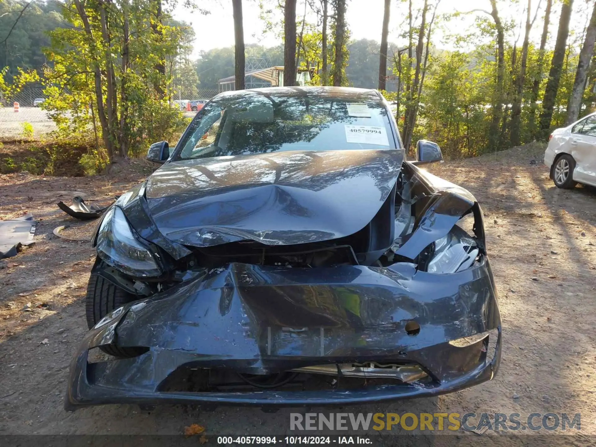 12 Photograph of a damaged car 7SAYGDEE9RA243556 TESLA MODEL Y 2024
