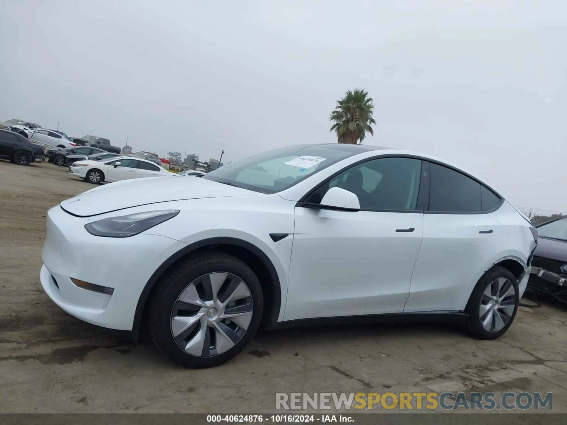 14 Photograph of a damaged car 7SAYGDEE9RA260003 TESLA MODEL Y 2024