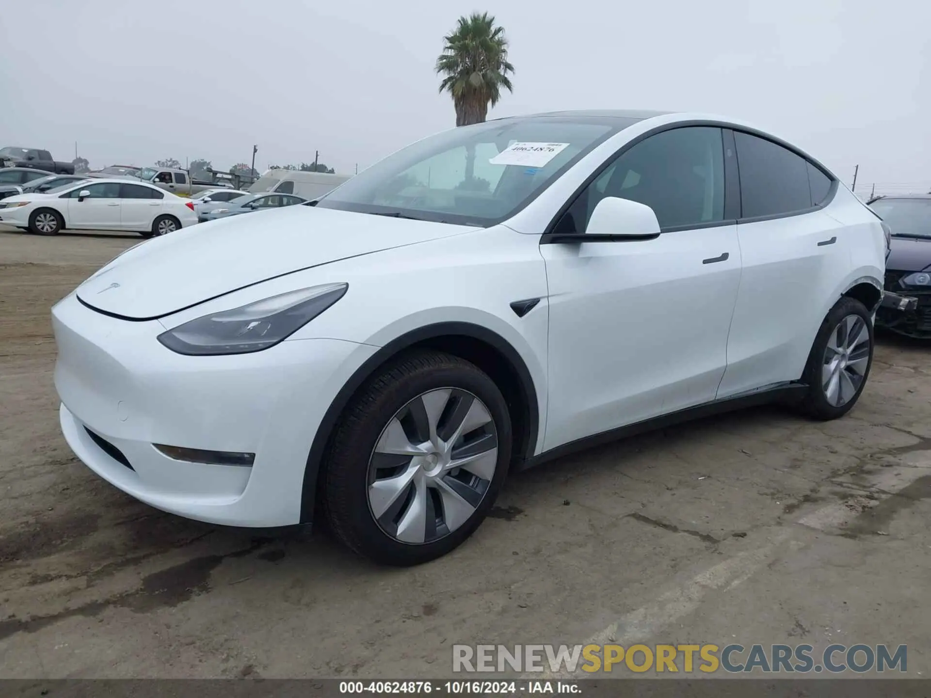 2 Photograph of a damaged car 7SAYGDEE9RA260003 TESLA MODEL Y 2024