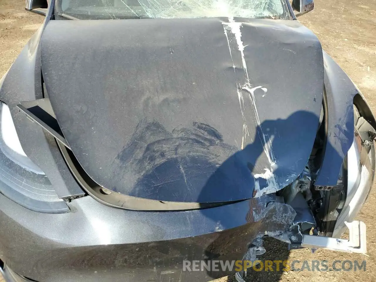 12 Photograph of a damaged car 7SAYGDEE9RA278050 TESLA MODEL Y 2024