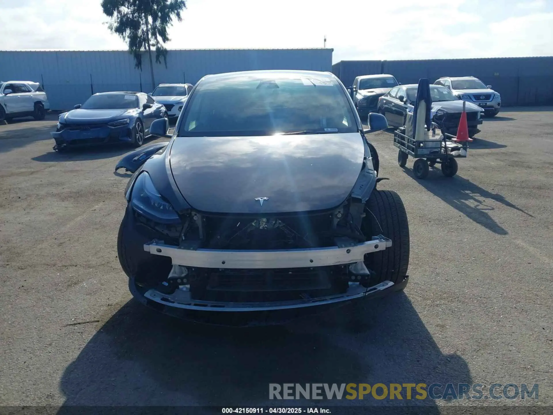 13 Photograph of a damaged car 7SAYGDEE9RF177495 TESLA MODEL Y 2024