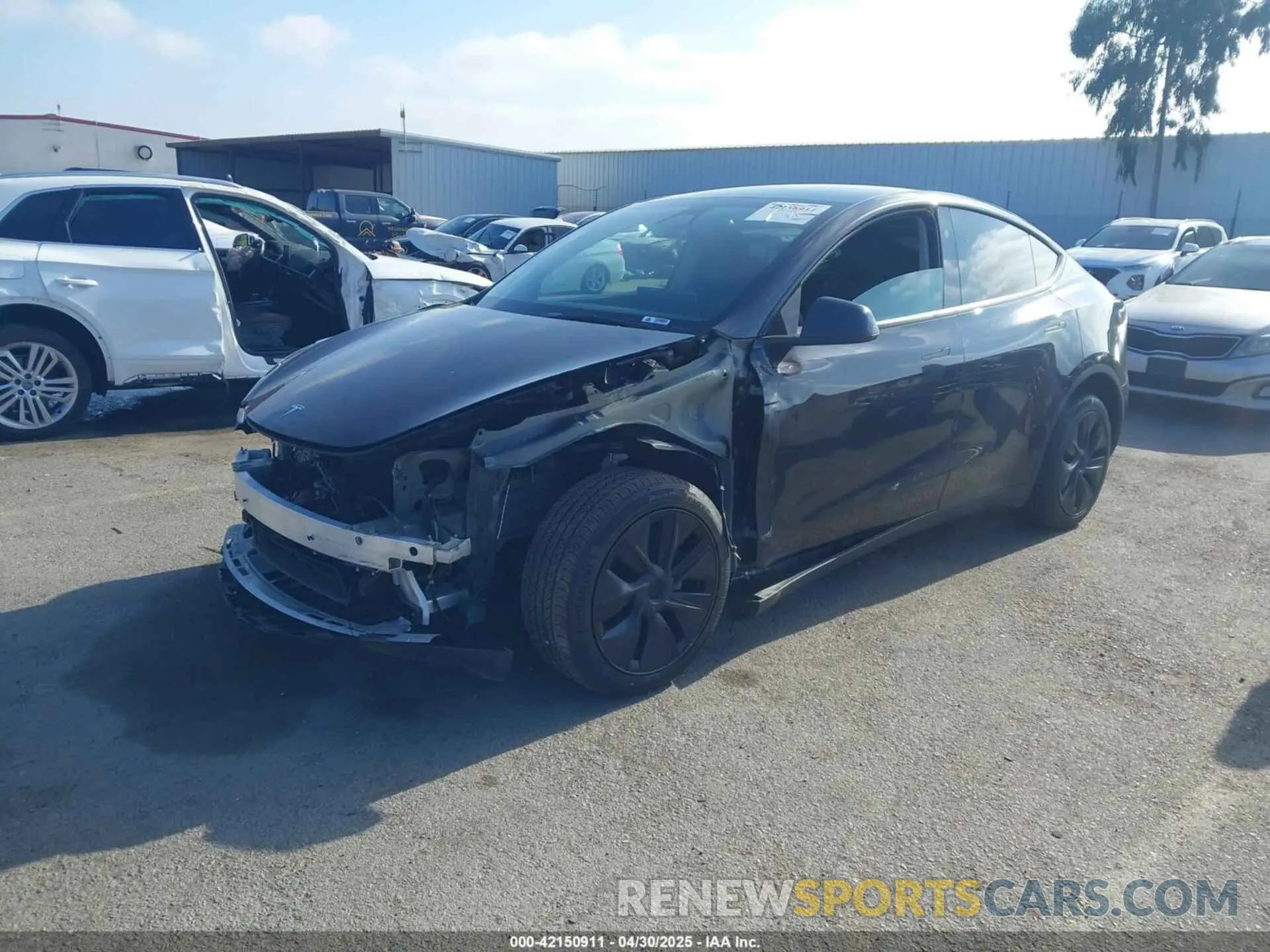 2 Photograph of a damaged car 7SAYGDEE9RF177495 TESLA MODEL Y 2024