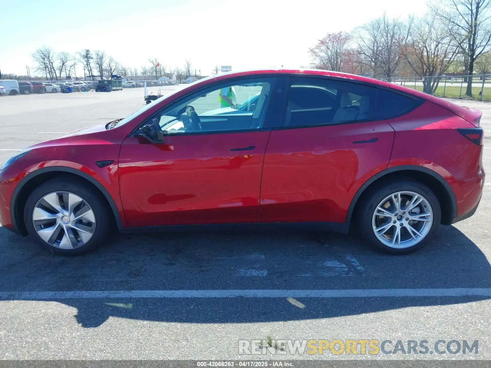 14 Photograph of a damaged car 7SAYGDEEXRA264495 TESLA MODEL Y 2024