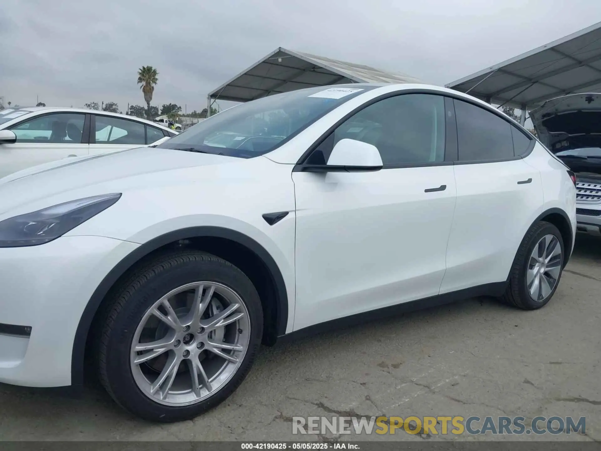 14 Photograph of a damaged car 7SAYGDEEXRF059620 TESLA MODEL Y 2024