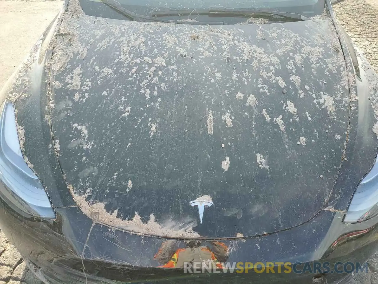 12 Photograph of a damaged car 7SAYGDEEXRF123848 TESLA MODEL Y 2024