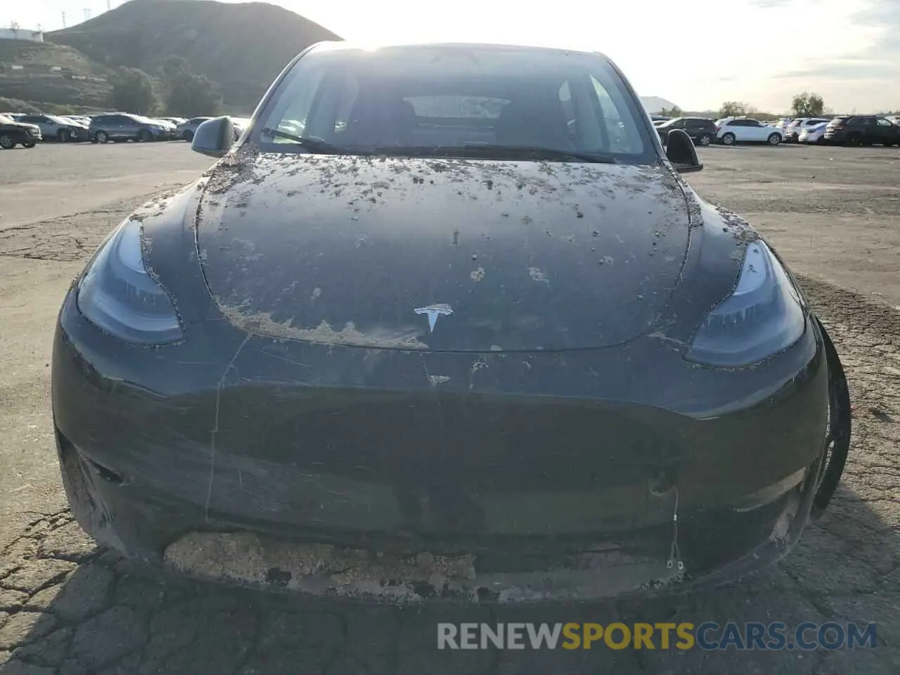 5 Photograph of a damaged car 7SAYGDEEXRF123848 TESLA MODEL Y 2024