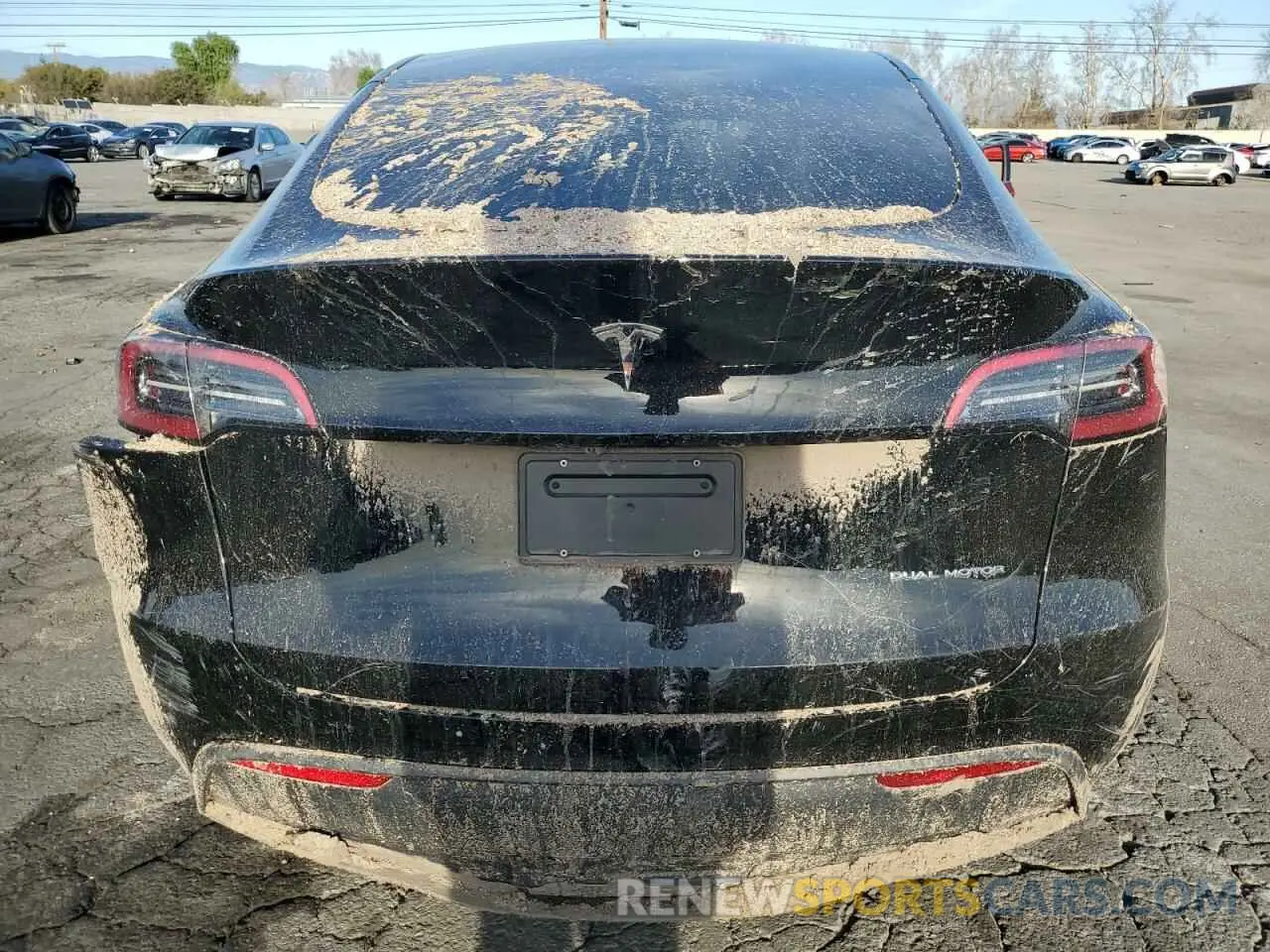 6 Photograph of a damaged car 7SAYGDEEXRF123848 TESLA MODEL Y 2024