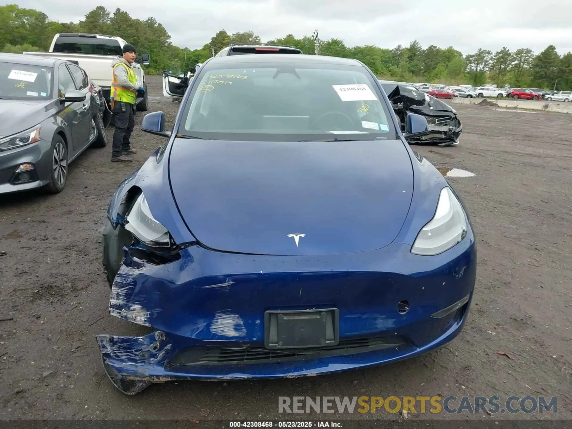 12 Photograph of a damaged car 7SAYGDEF1RA265382 TESLA MODEL Y 2024
