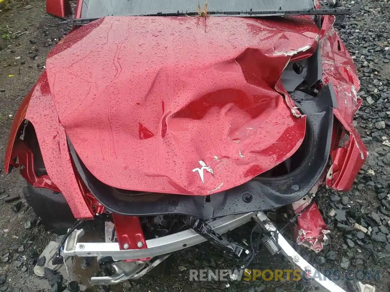 11 Photograph of a damaged car 7SAYGDEF3RA264699 TESLA MODEL Y 2024