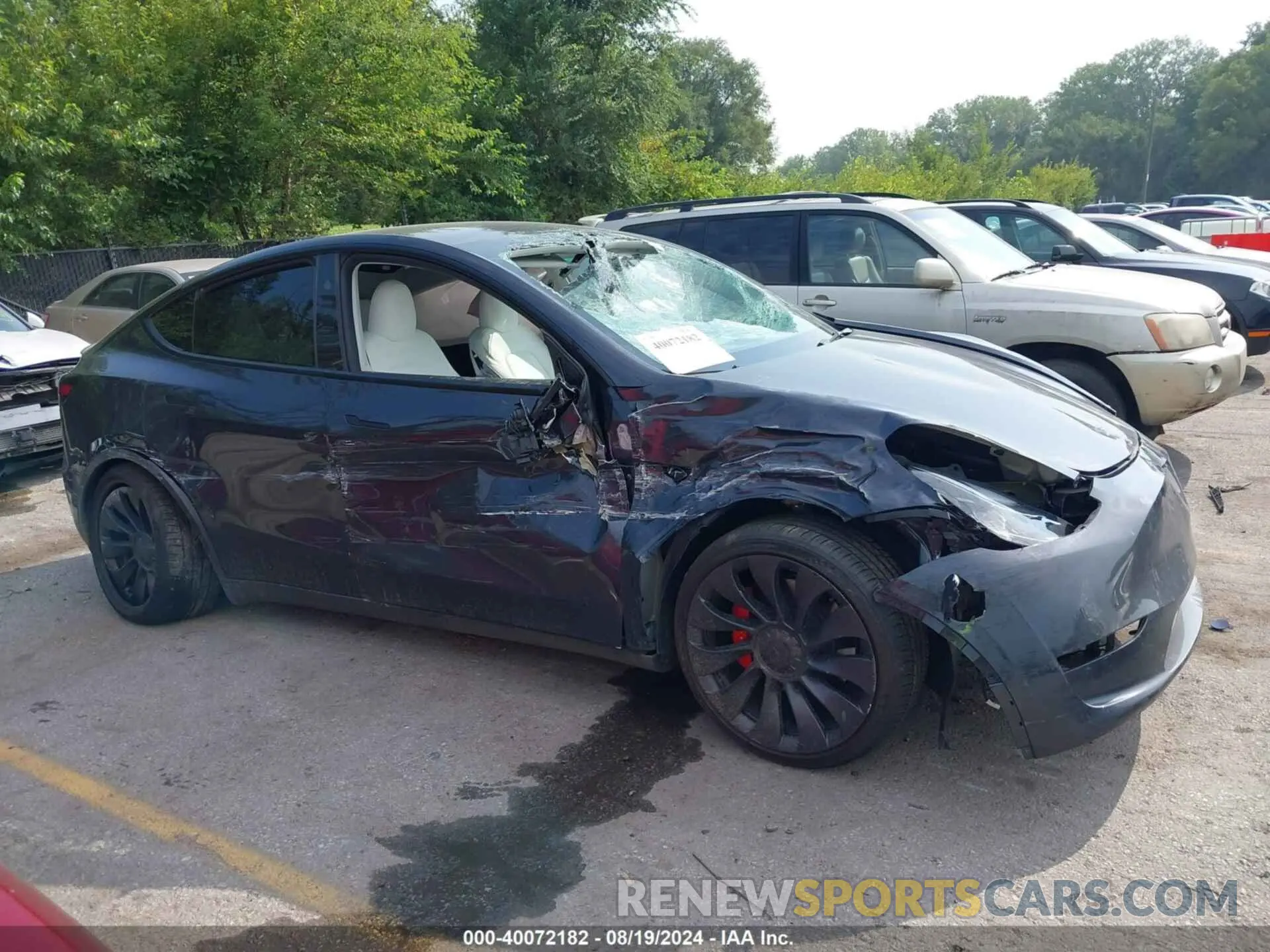 12 Photograph of a damaged car 7SAYGDEF3RF022885 TESLA MODEL Y 2024