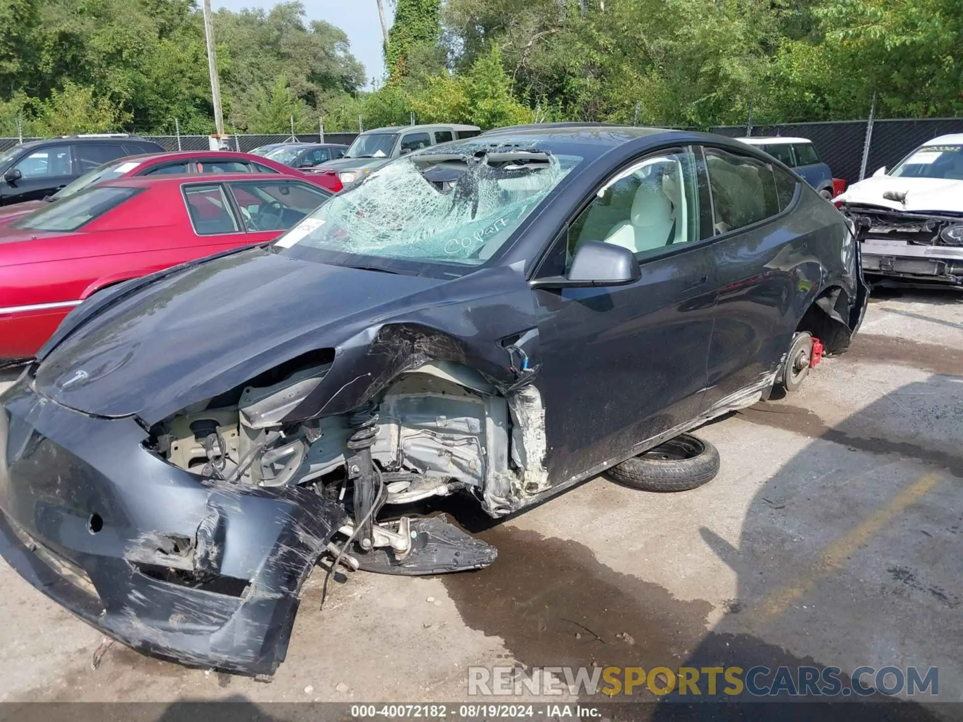 6 Photograph of a damaged car 7SAYGDEF3RF022885 TESLA MODEL Y 2024