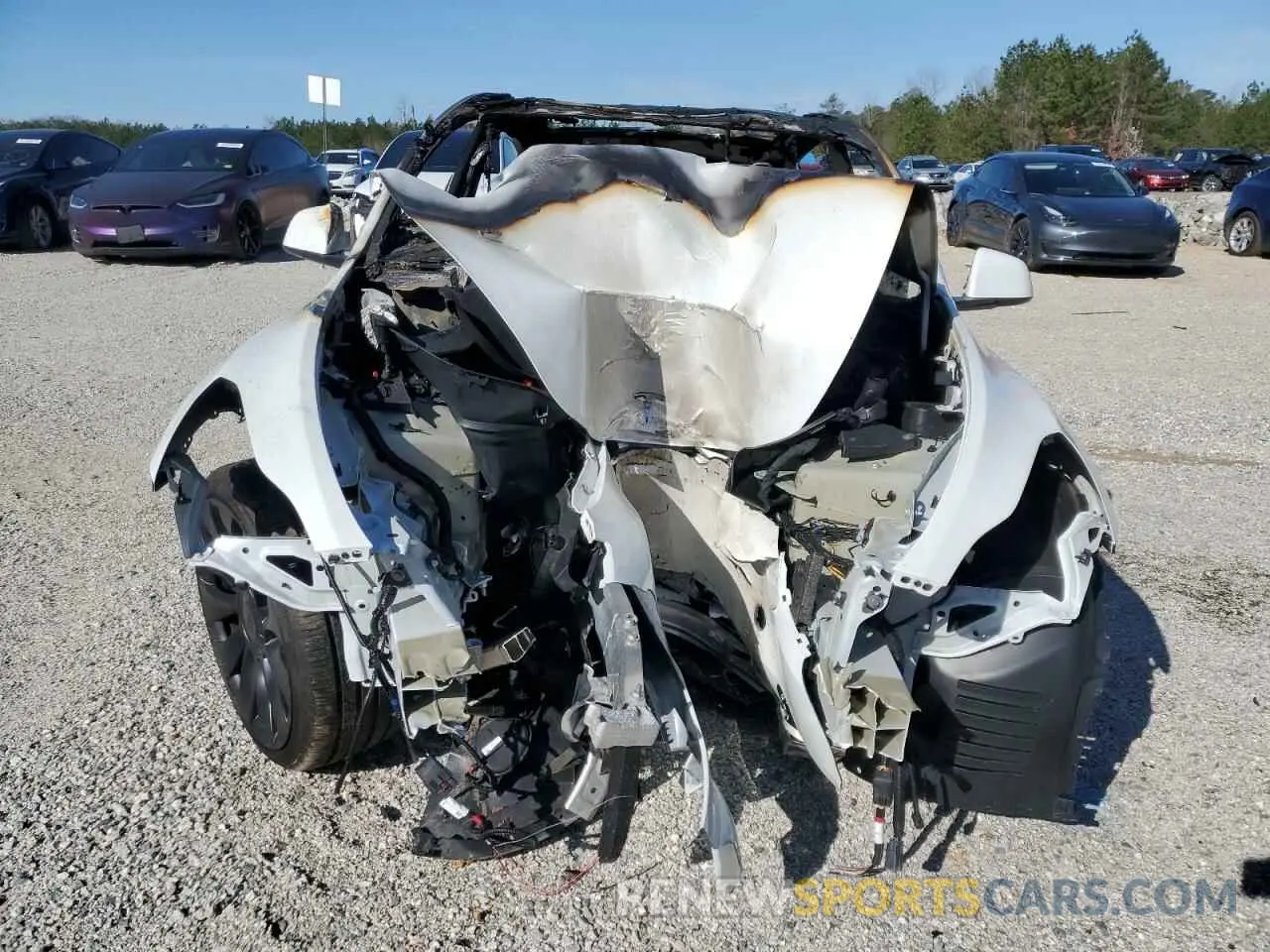 5 Photograph of a damaged car 7SAYGDEF5RF183755 TESLA MODEL Y 2024