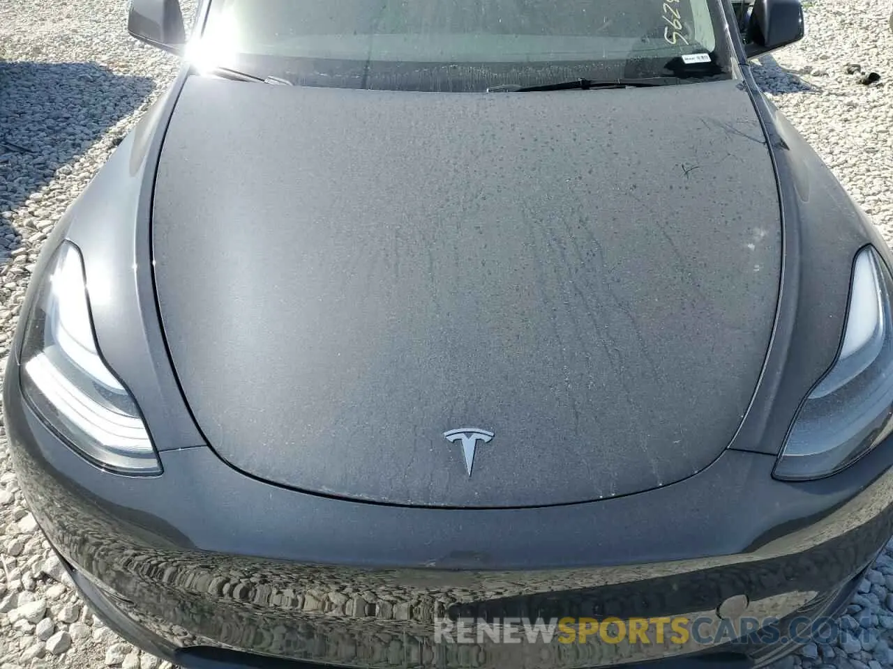 11 Photograph of a damaged car 7SAYGDEF6RF156631 TESLA MODEL Y 2024