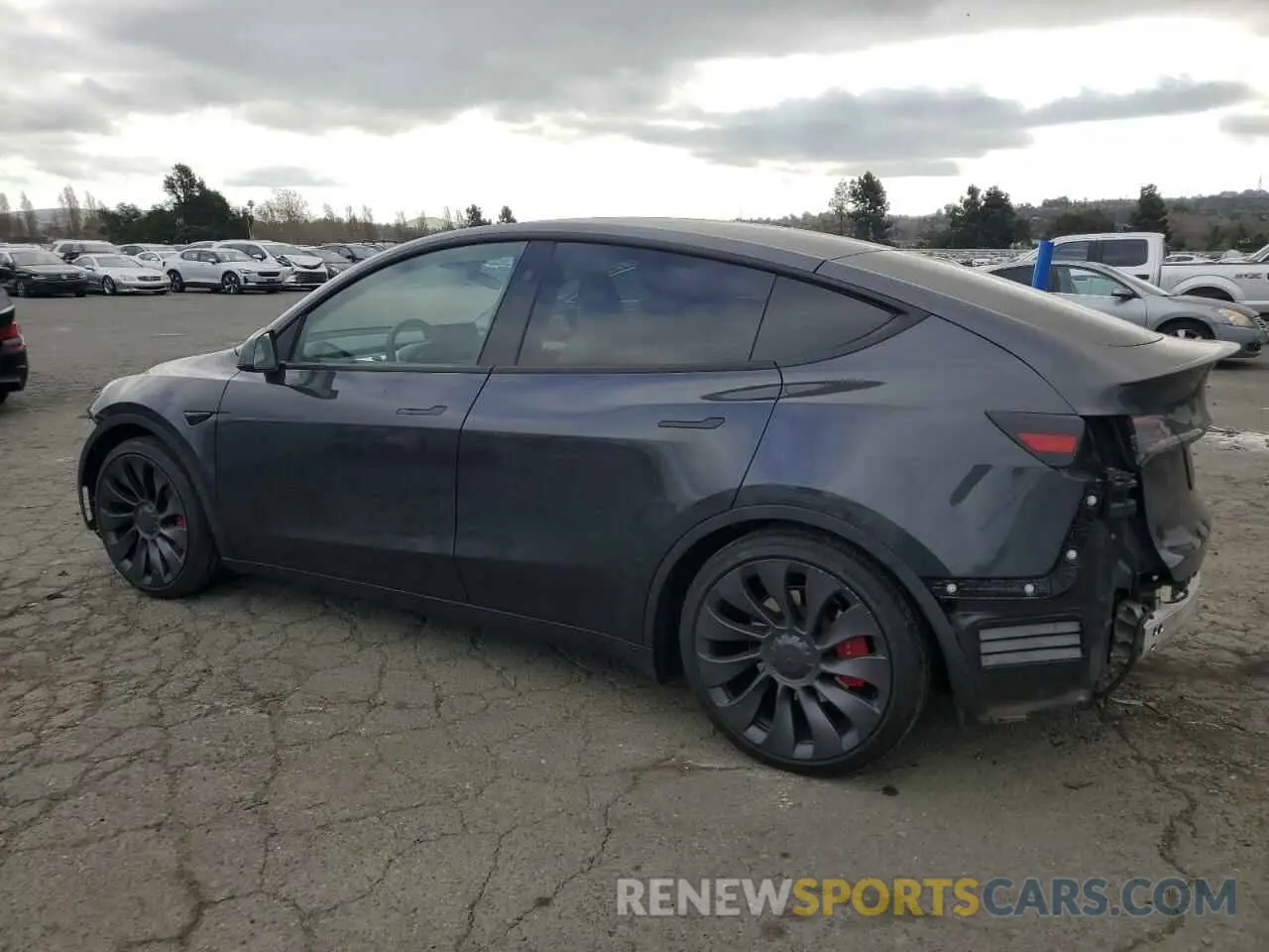 2 Photograph of a damaged car 7SAYGDEF7RF093054 TESLA MODEL Y 2024