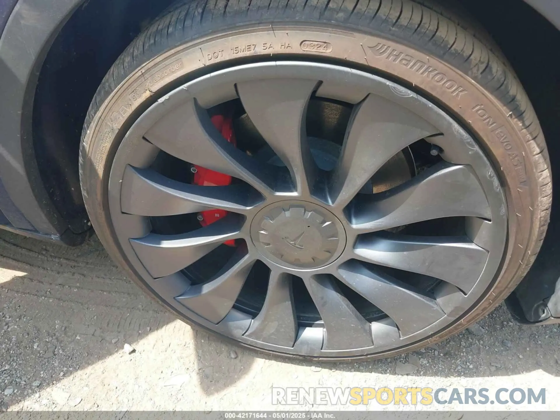 12 Photograph of a damaged car 7SAYGDEF8RA269459 TESLA MODEL Y 2024