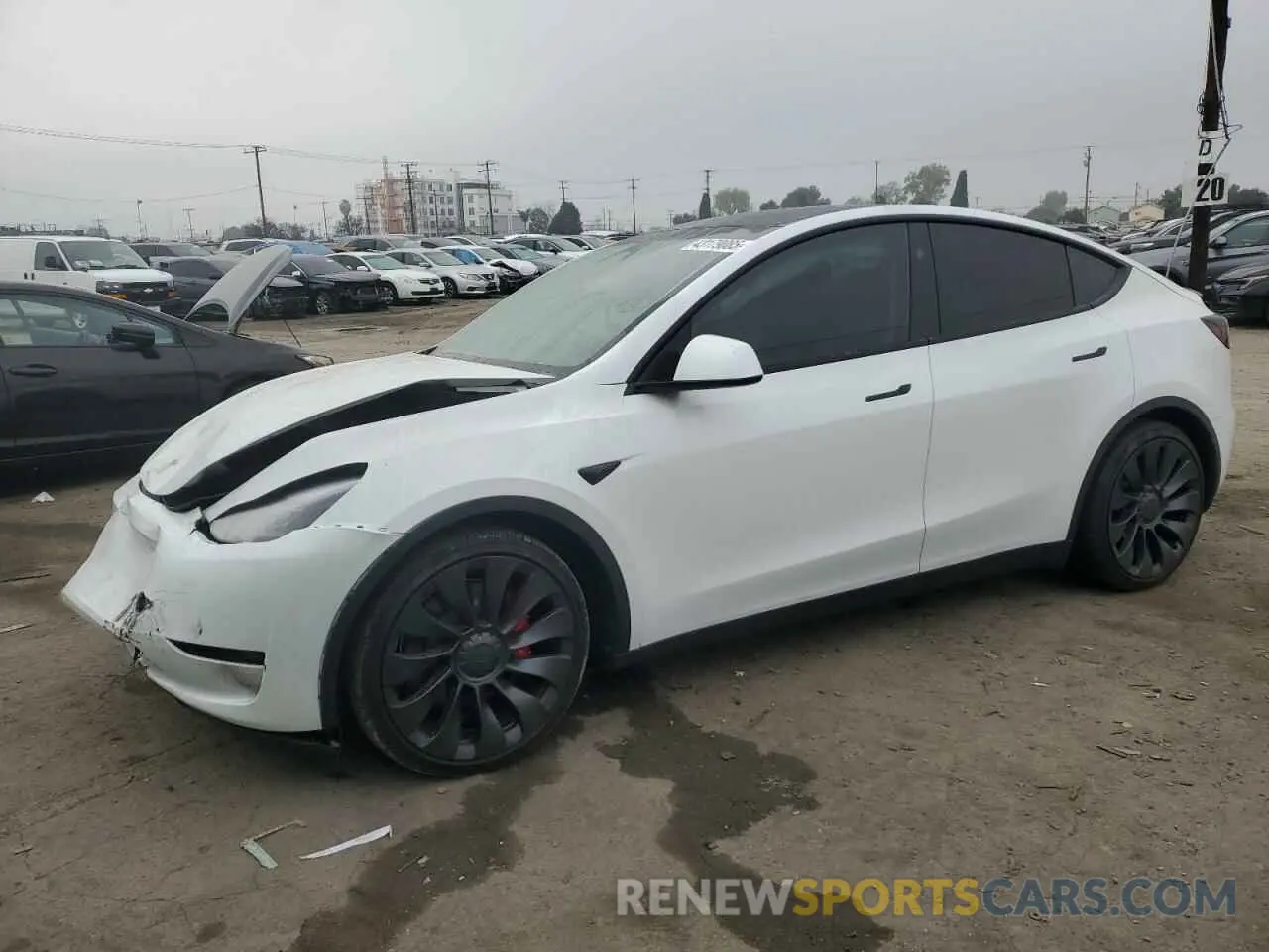 1 Photograph of a damaged car 7SAYGDEF8RF113876 TESLA MODEL Y 2024