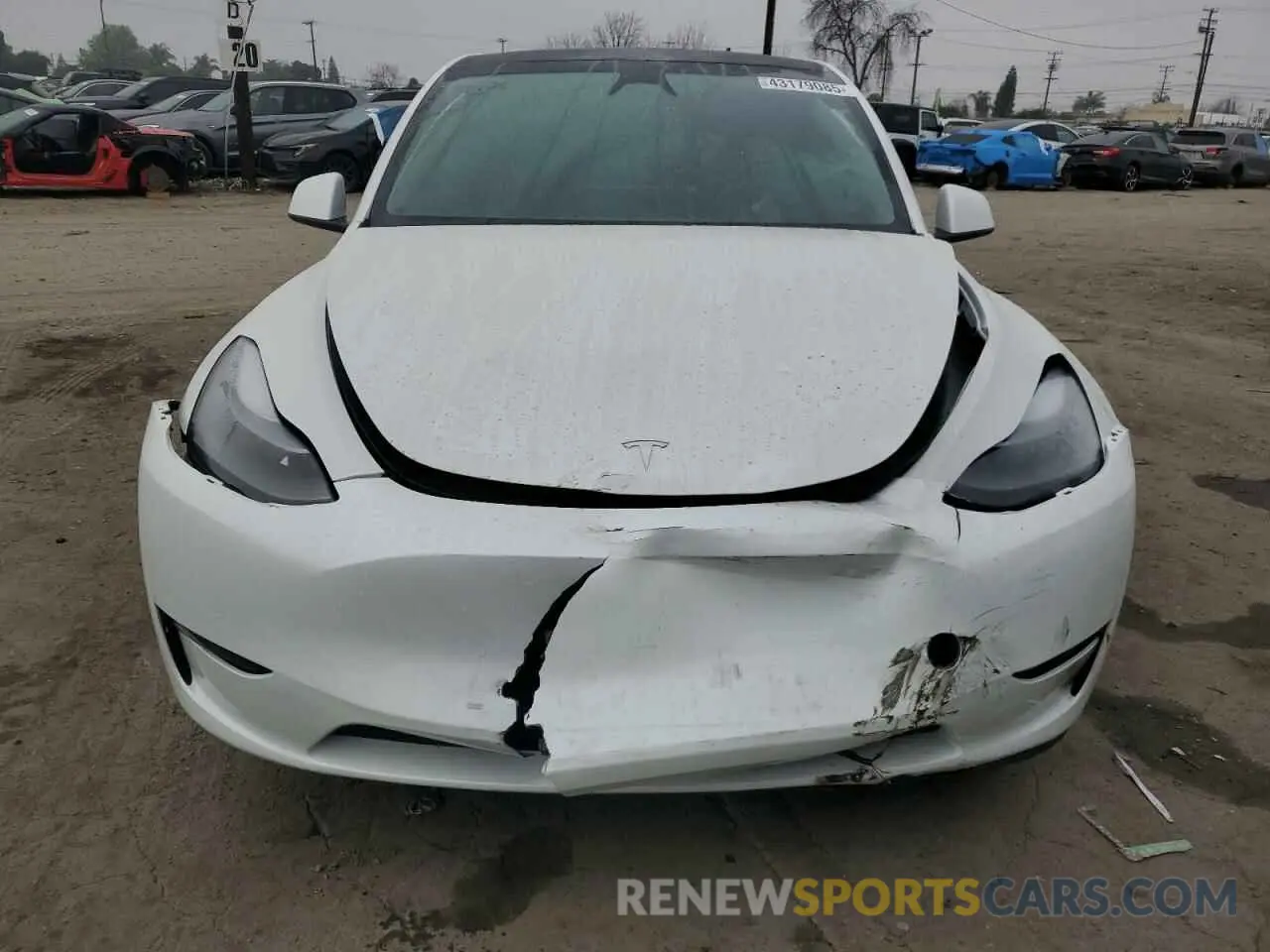 5 Photograph of a damaged car 7SAYGDEF8RF113876 TESLA MODEL Y 2024
