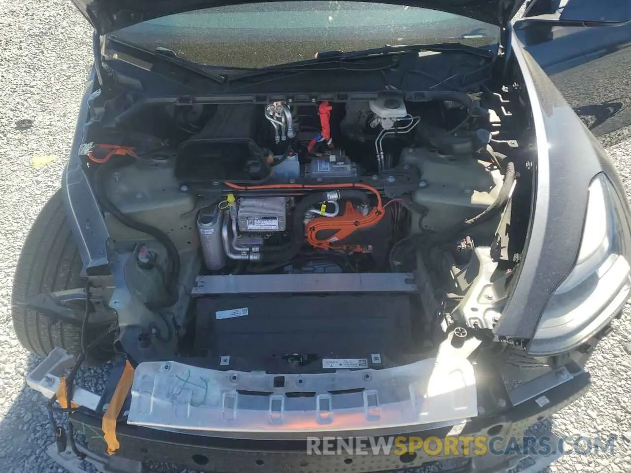 12 Photograph of a damaged car 7SAYGDEFXRA271486 TESLA MODEL Y 2024