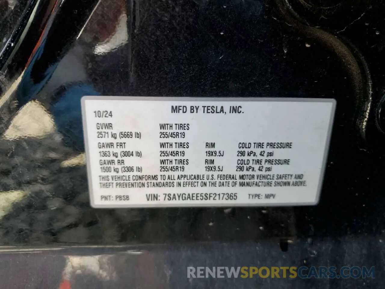 13 Photograph of a damaged car 7SAYGAEE5SF217365 TESLA MODEL Y 2025