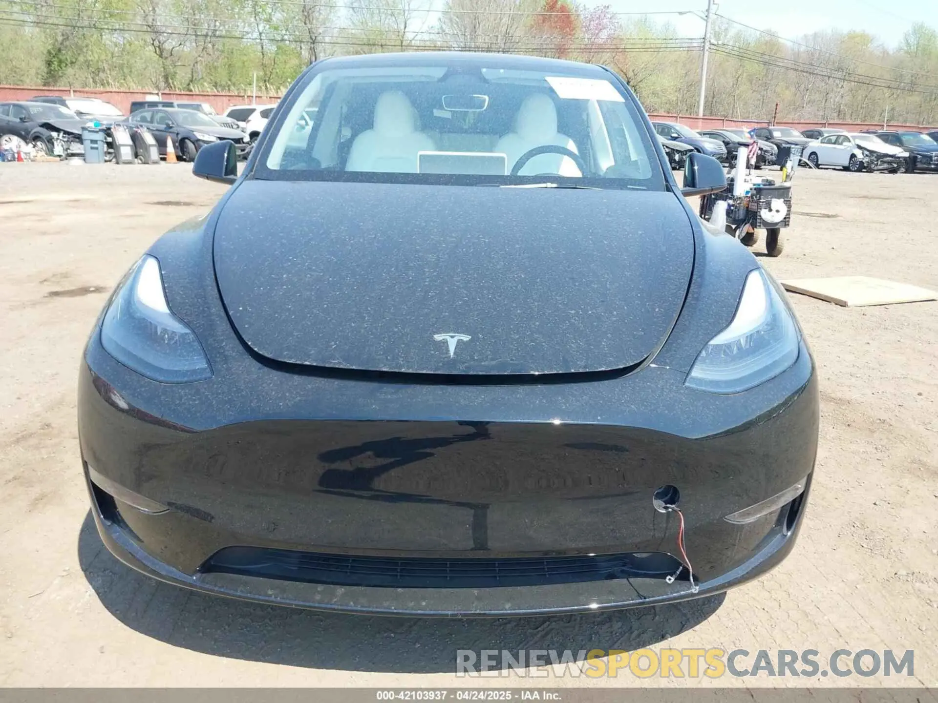 12 Photograph of a damaged car 7SAYGAEE5SF249006 TESLA MODEL Y 2025
