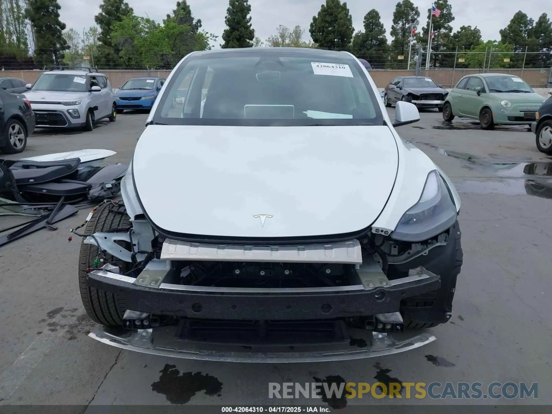 13 Photograph of a damaged car 7SAYGDED0SF281614 TESLA MODEL Y 2025