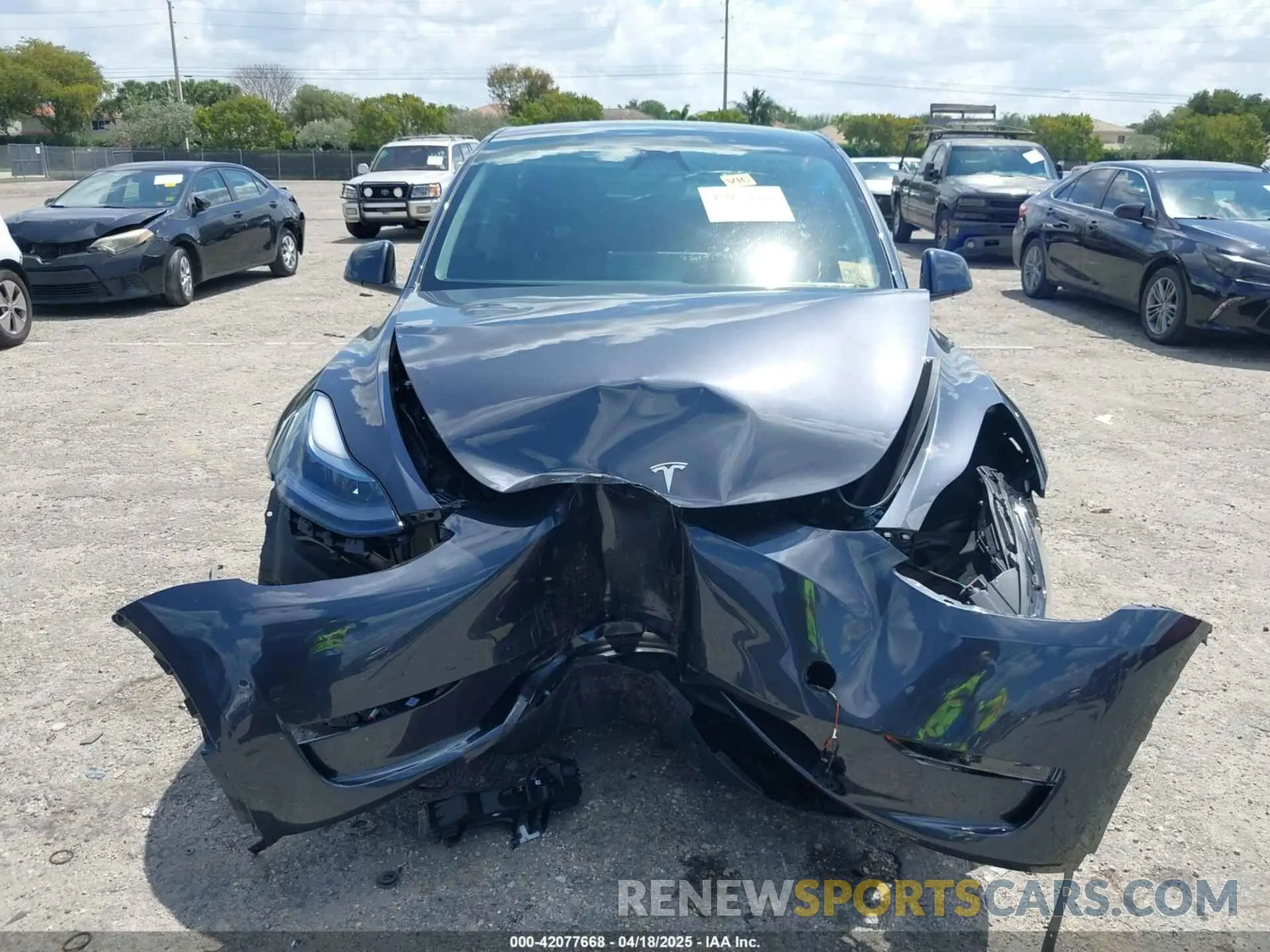 12 Photograph of a damaged car 7SAYGDED5SA370060 TESLA MODEL Y 2025