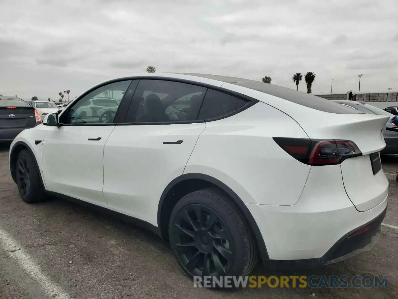 2 Photograph of a damaged car 7SAYGDED5SF228228 TESLA MODEL Y 2025