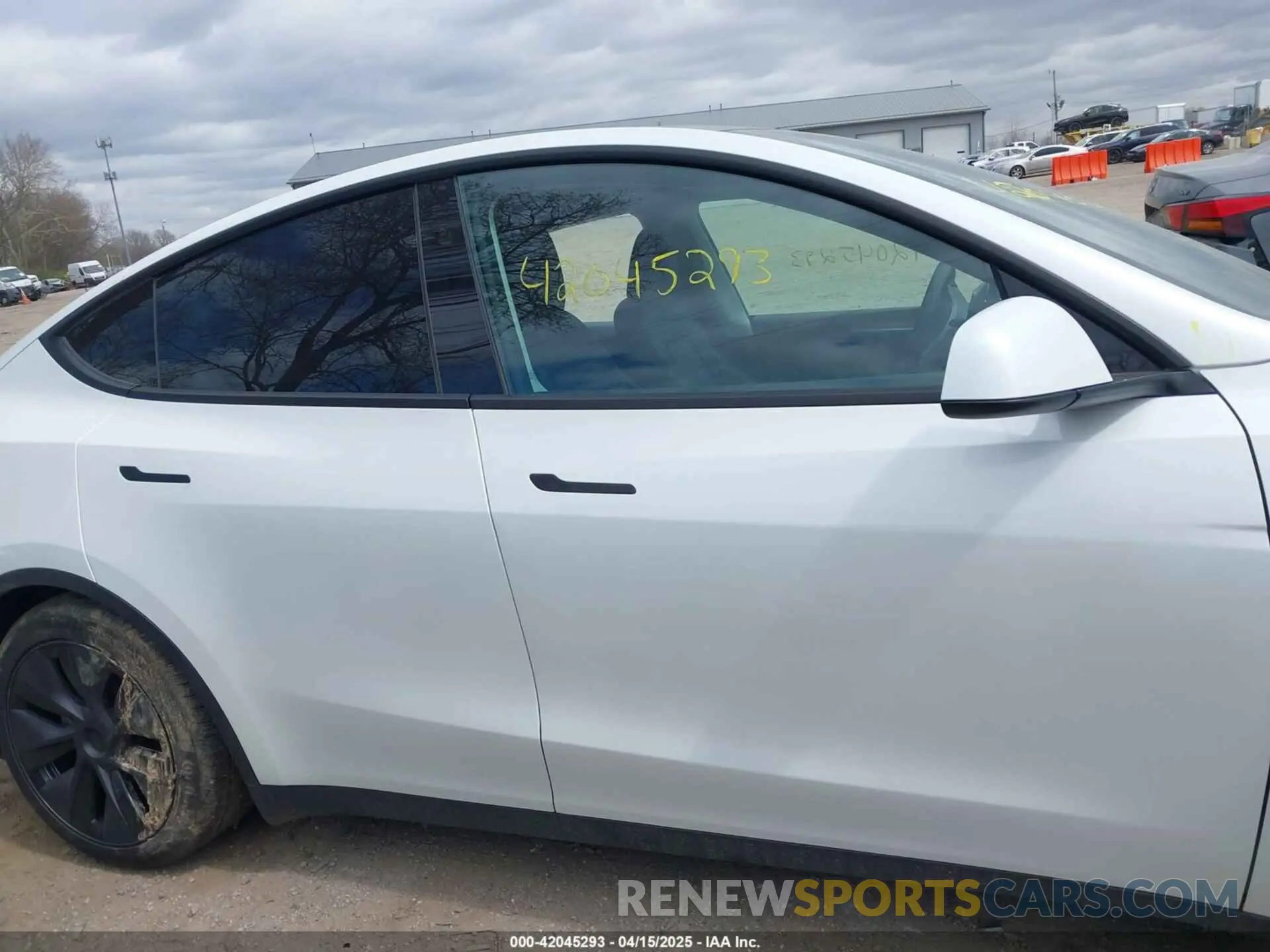 12 Photograph of a damaged car 7SAYGDEE1SF296292 TESLA MODEL Y 2025