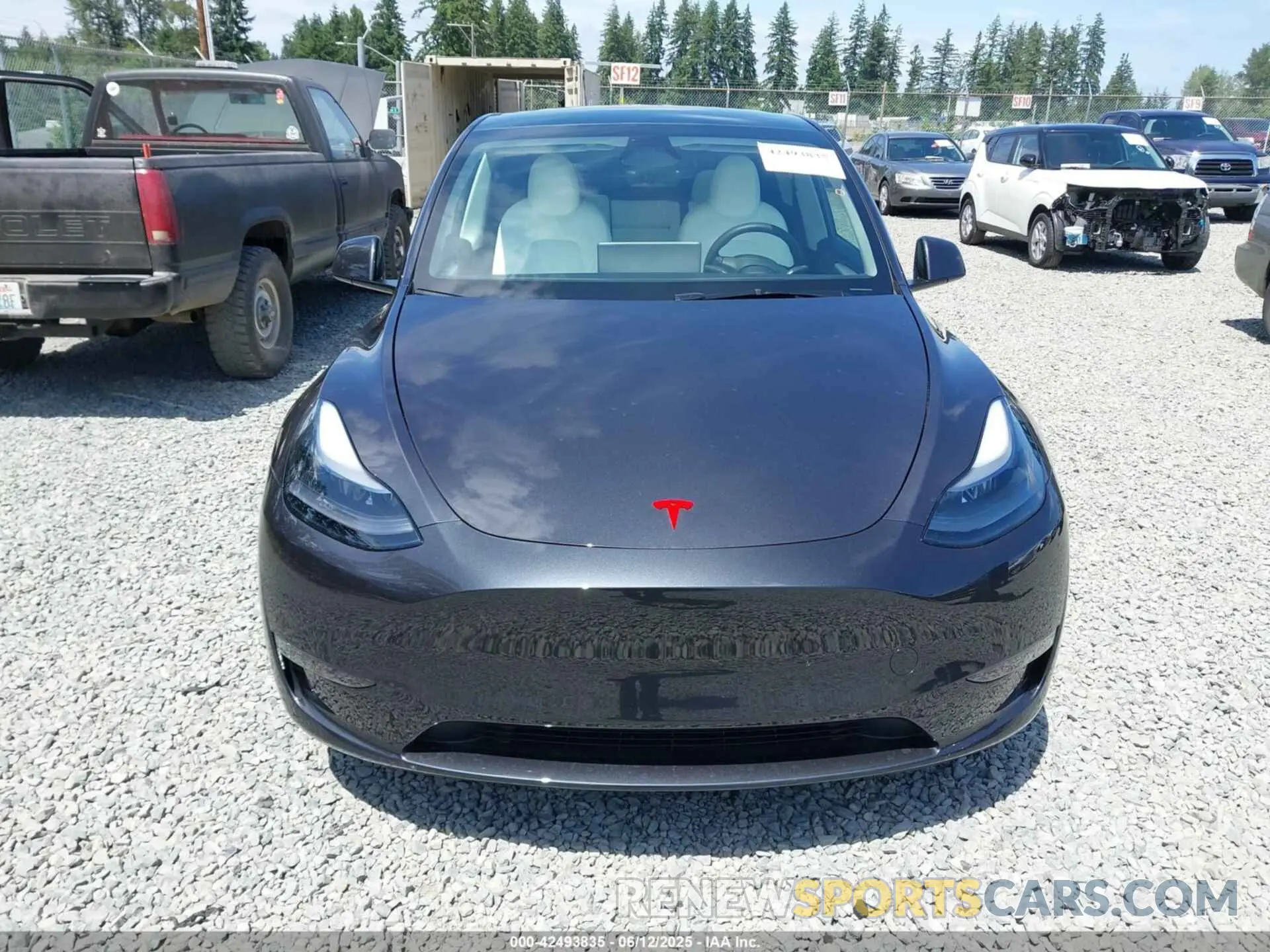 12 Photograph of a damaged car 7SAYGDEF3SF254196 TESLA MODEL Y 2025