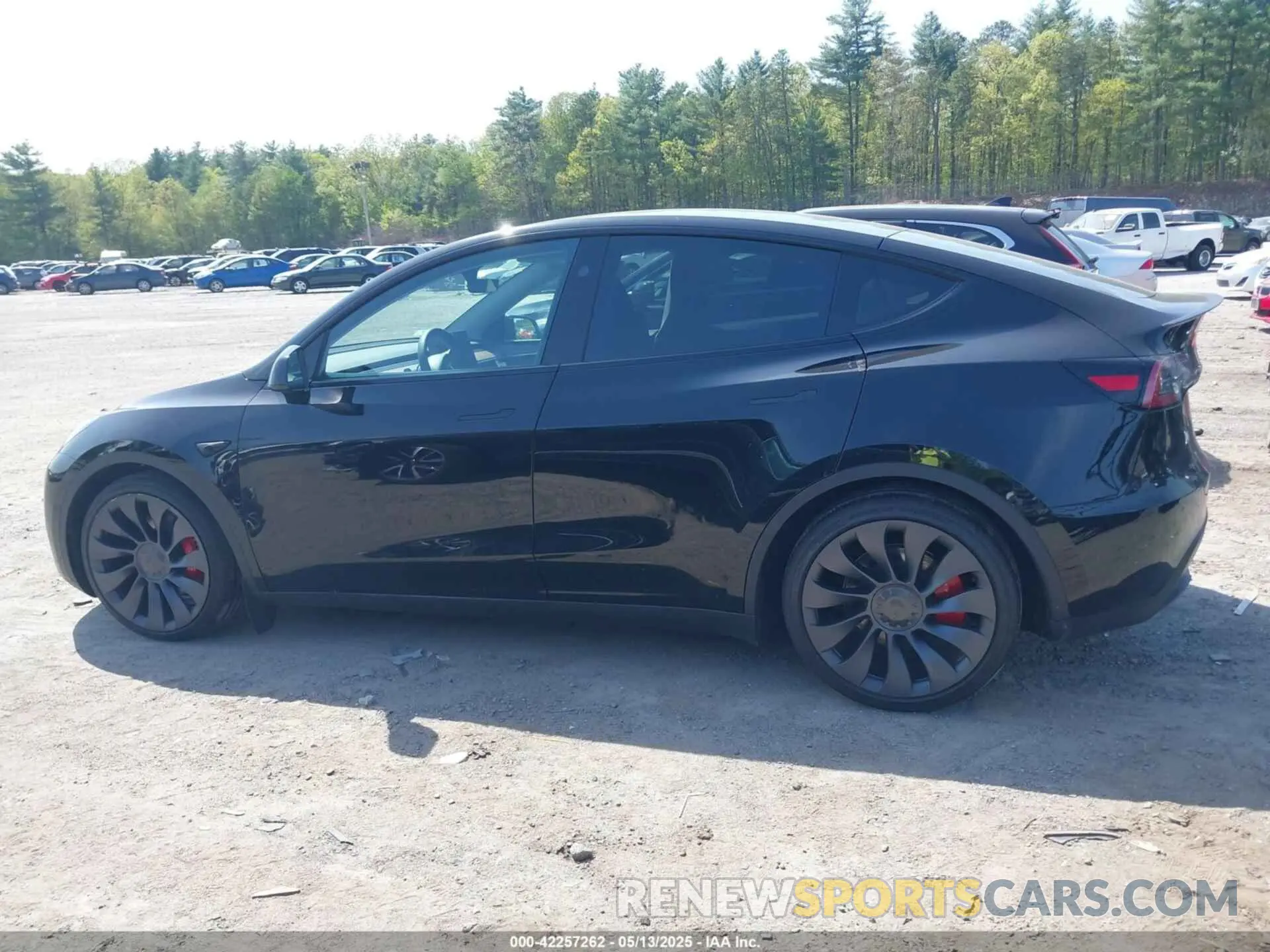 14 Photograph of a damaged car 7SAYGDEFXSF309548 TESLA MODEL Y 2025