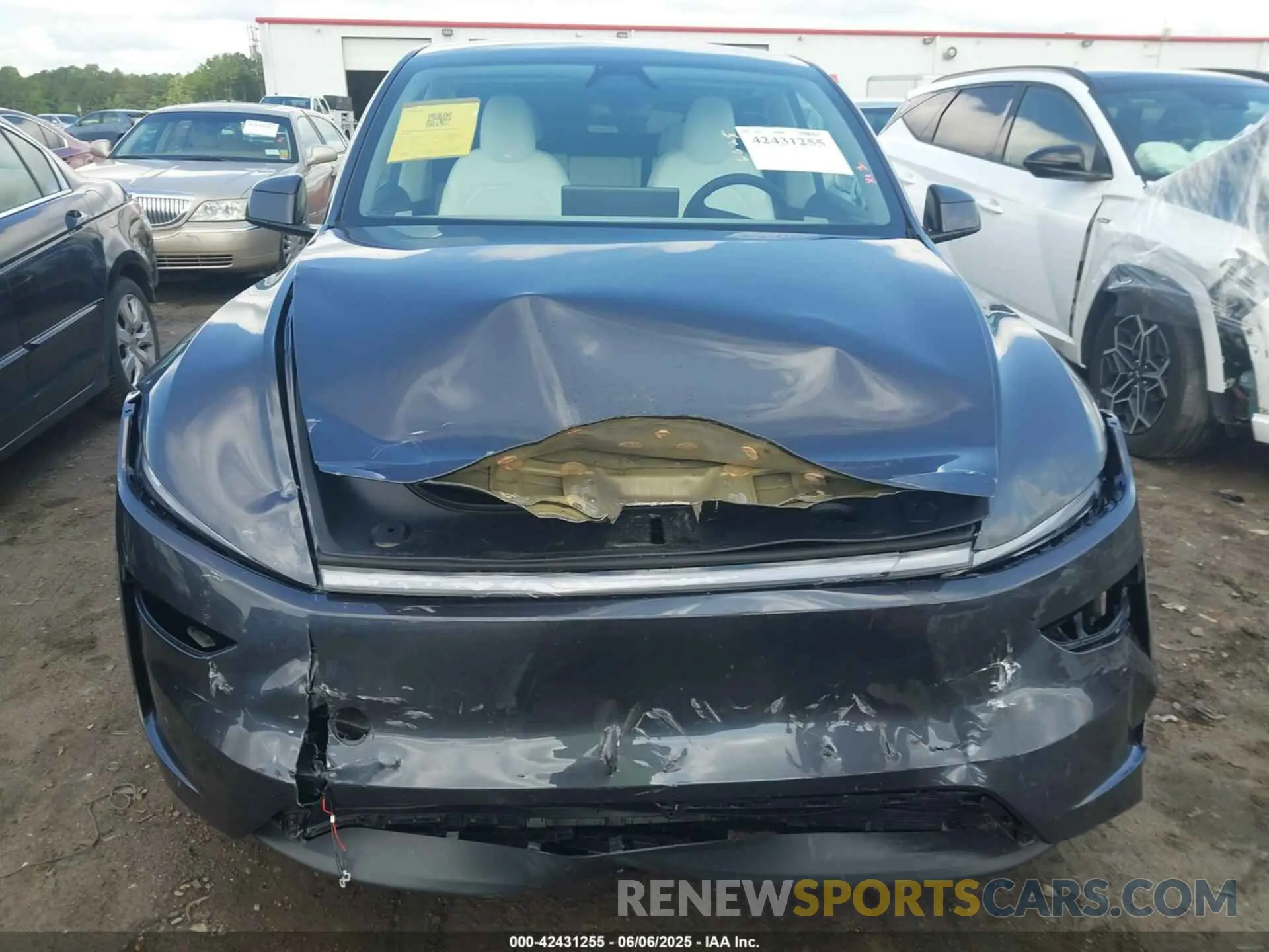 11 Photograph of a damaged car 7SAYGDEE5TA391226 TESLA MODEL Y 2026
