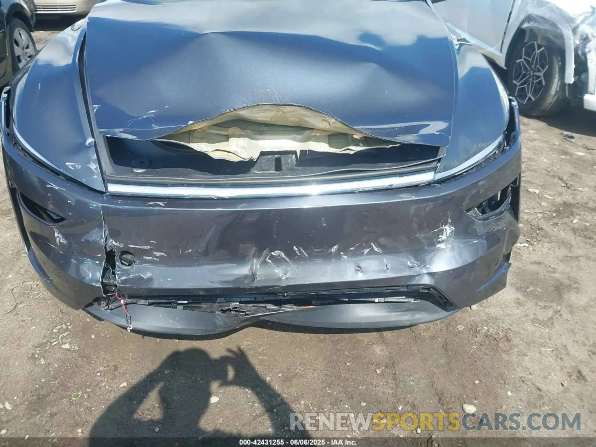 6 Photograph of a damaged car 7SAYGDEE5TA391226 TESLA MODEL Y 2026