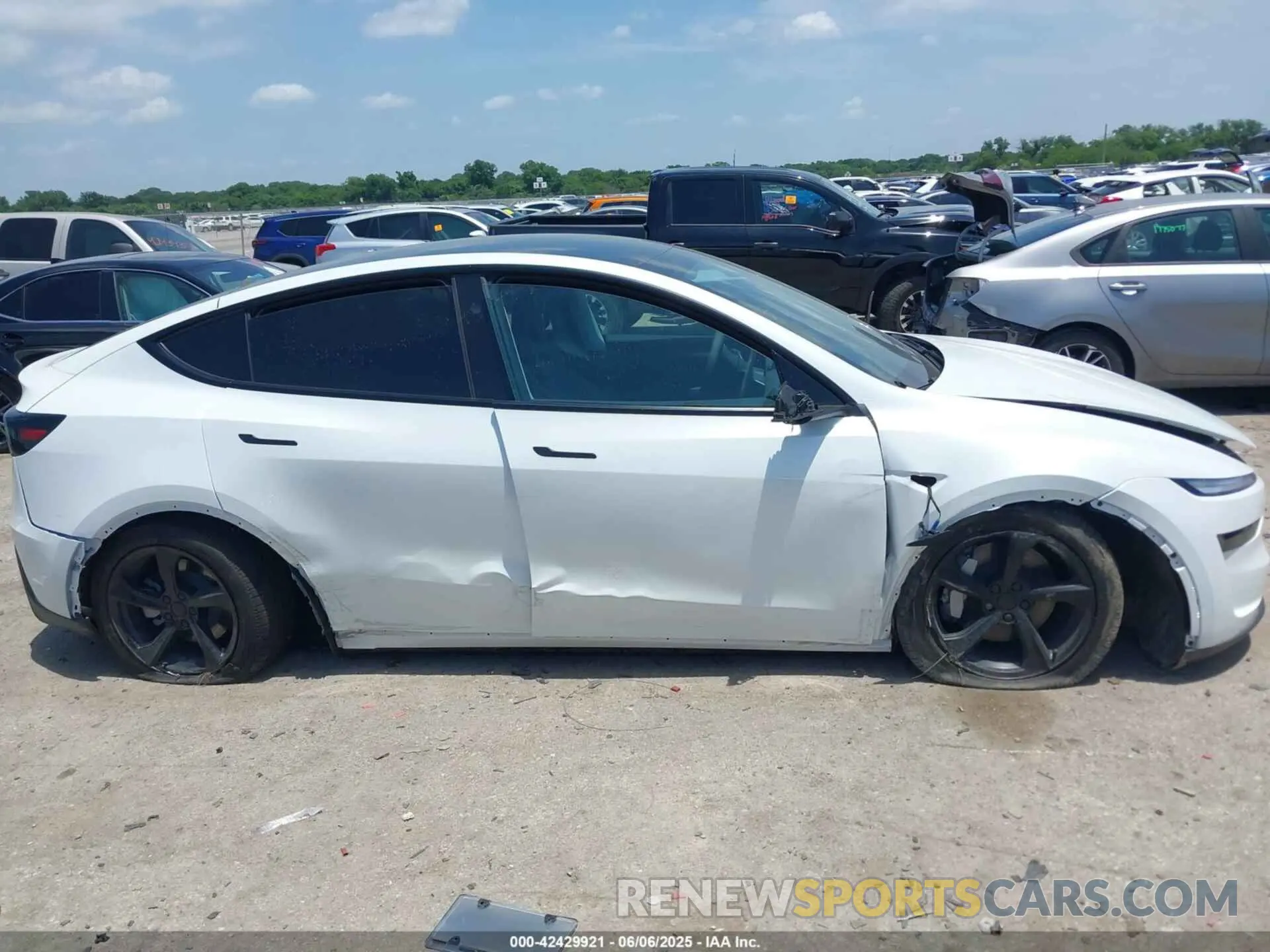 13 Photograph of a damaged car 7SAYGDEE7TA393981 TESLA MODEL Y 2026
